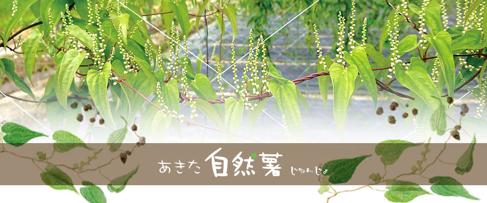 自然薯の販売と美味しい食べ方のご提案